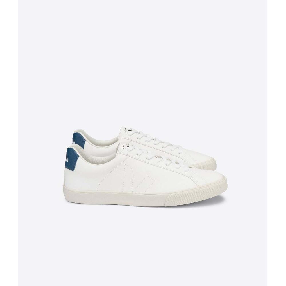 Men\'s Veja ESPLAR CHROMEFREE Shoes White/Blue | SG 194QMA